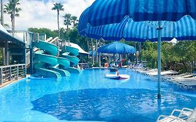 Sundestin 818